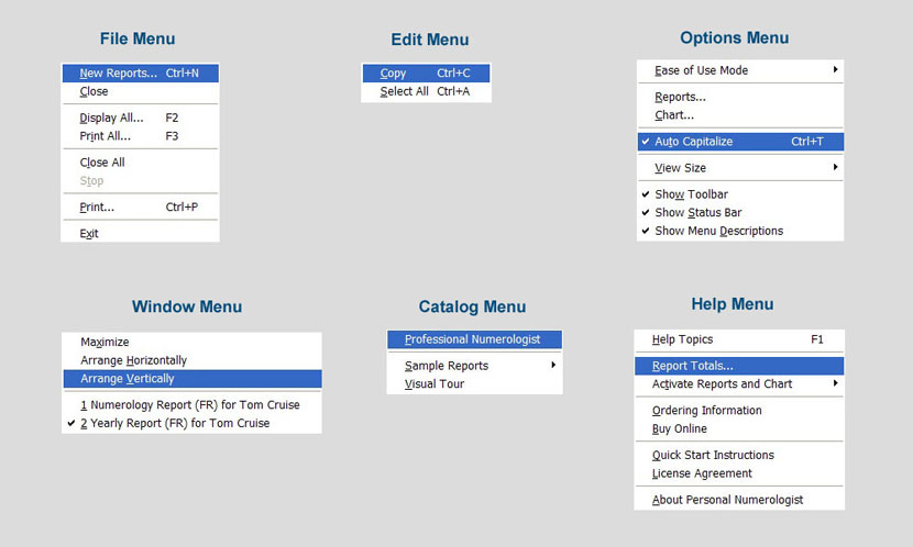 View of all the program menus showing the rich features available