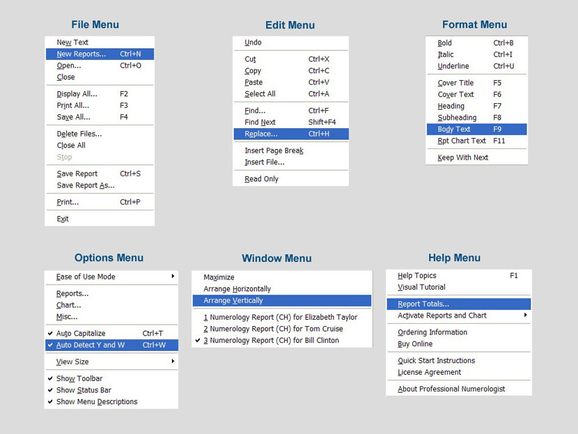 View of all the program menus showing the rich features available